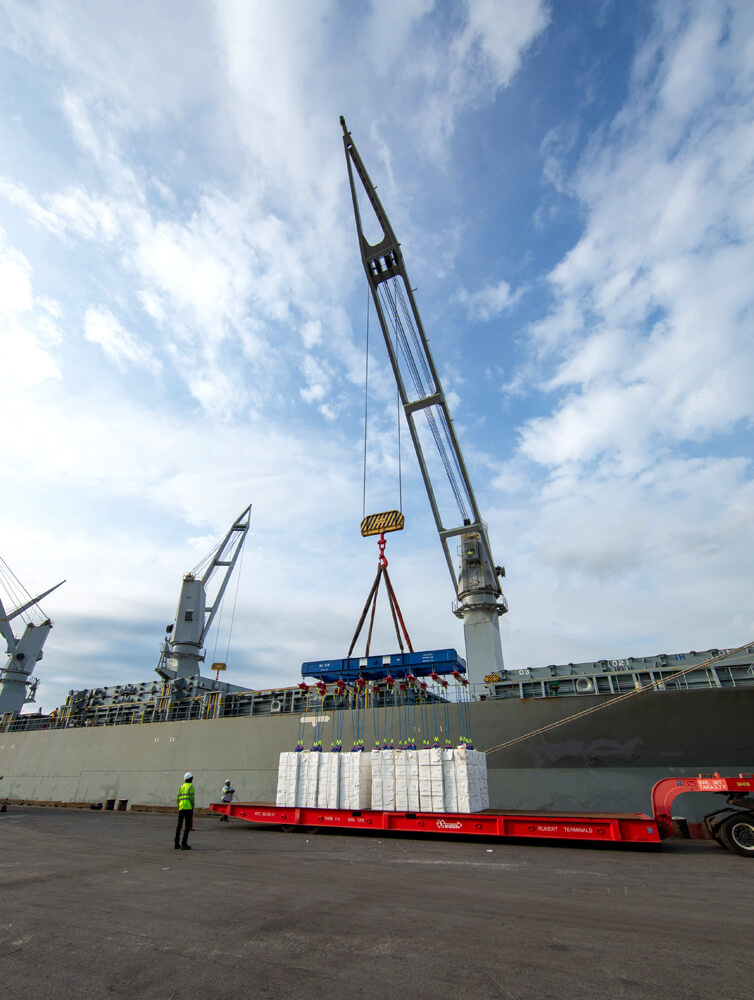 ship crane offloading break-bulk cargo